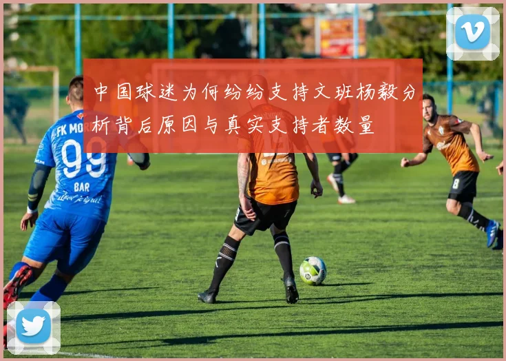 中国球迷为何纷纷支持文班杨毅分析背后原因与真实支持者数量