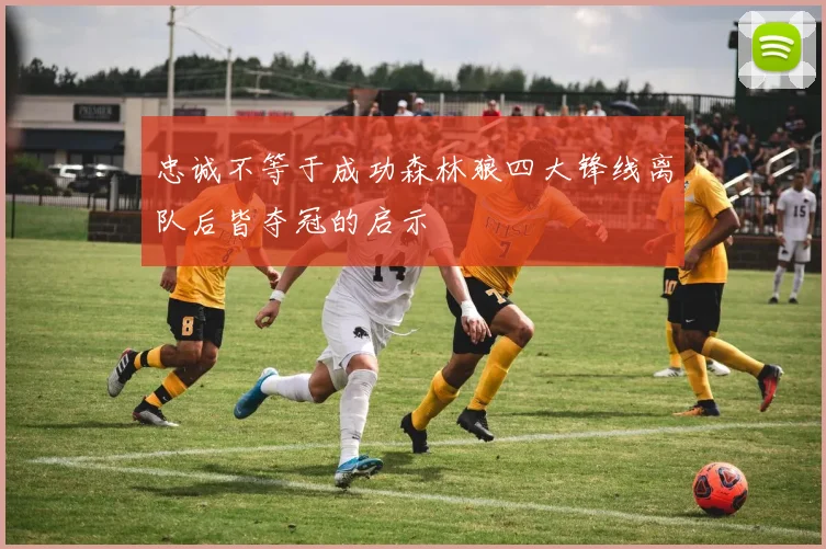 忠诚不等于成功森林狼四大锋线离队后皆夺冠的启示