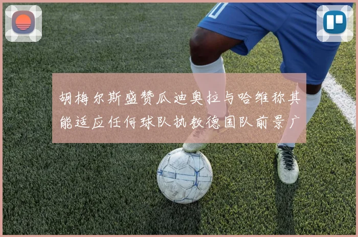 胡梅尔斯盛赞瓜迪奥拉与哈维称其能适应任何球队执教德国队前景广阔